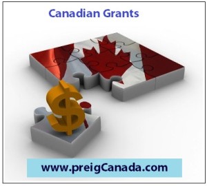 Government-Grants