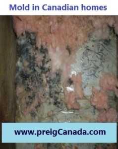 Mold in canadian home